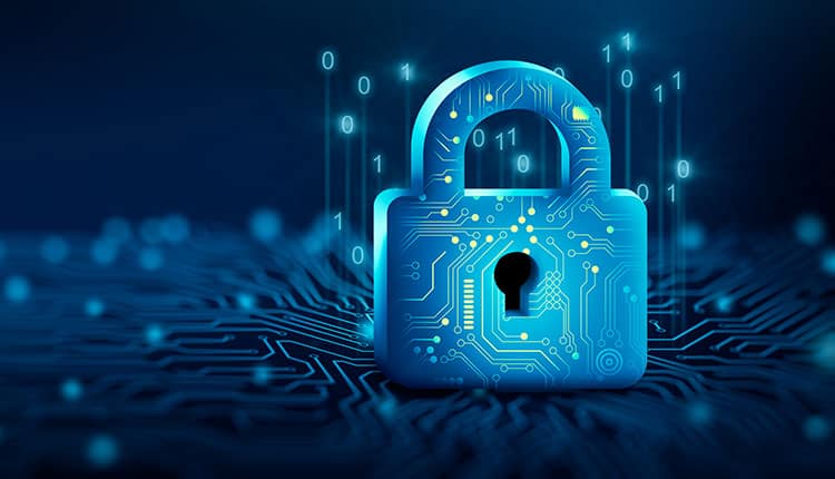 Cybersecurity for School Websites